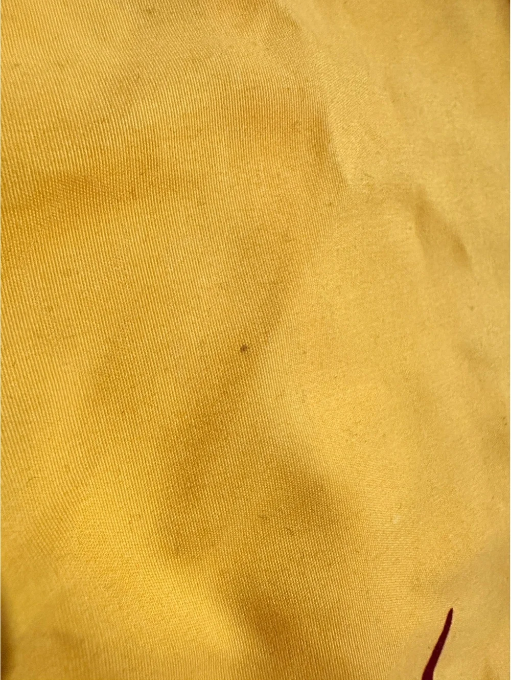 Vintage Y2K 90s Flaming Yellow Board Swim Shorts